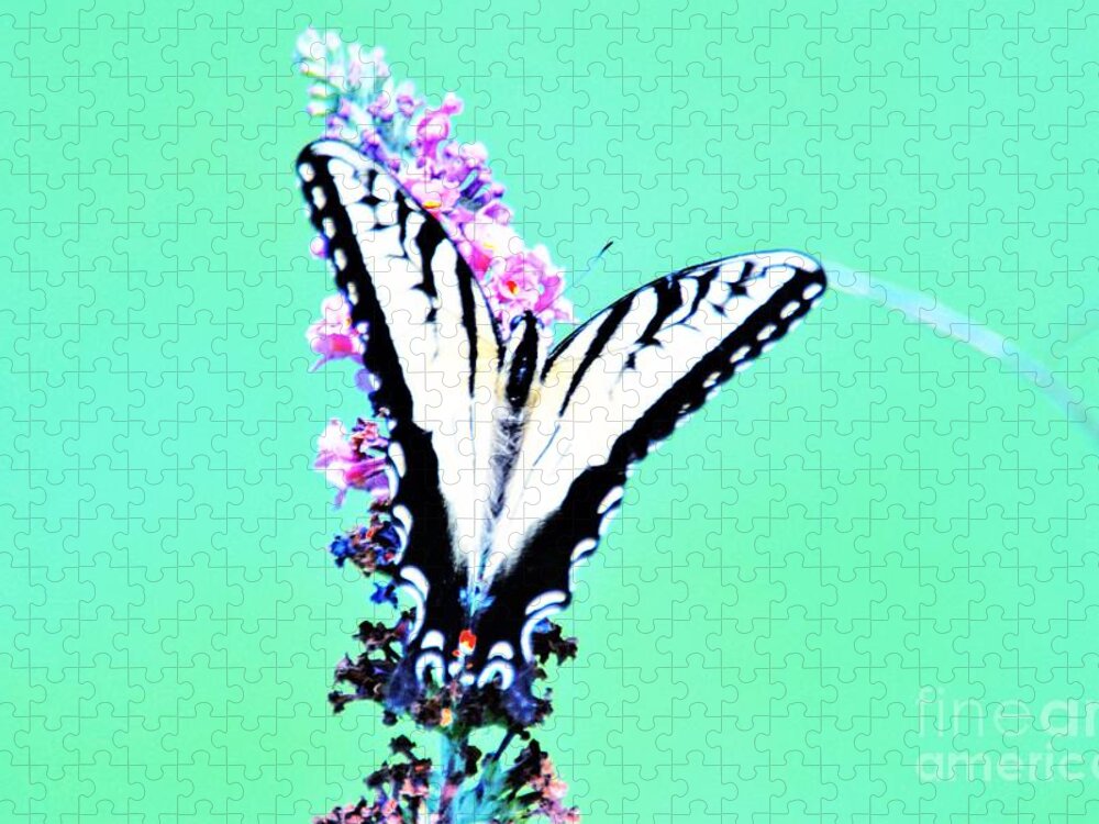 Butterfly Jigsaw Puzzle featuring the photograph Outlined in black by Merle Grenz