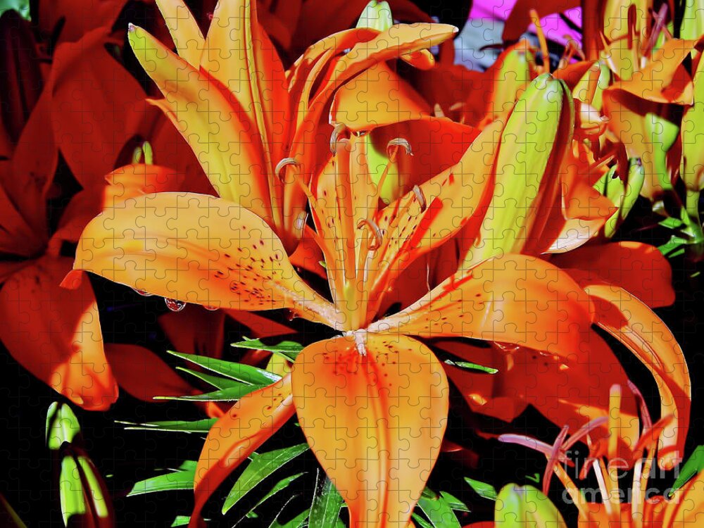 Orange Jigsaw Puzzle featuring the photograph Outstanding Orange Tiger Lilies by D Hackett
