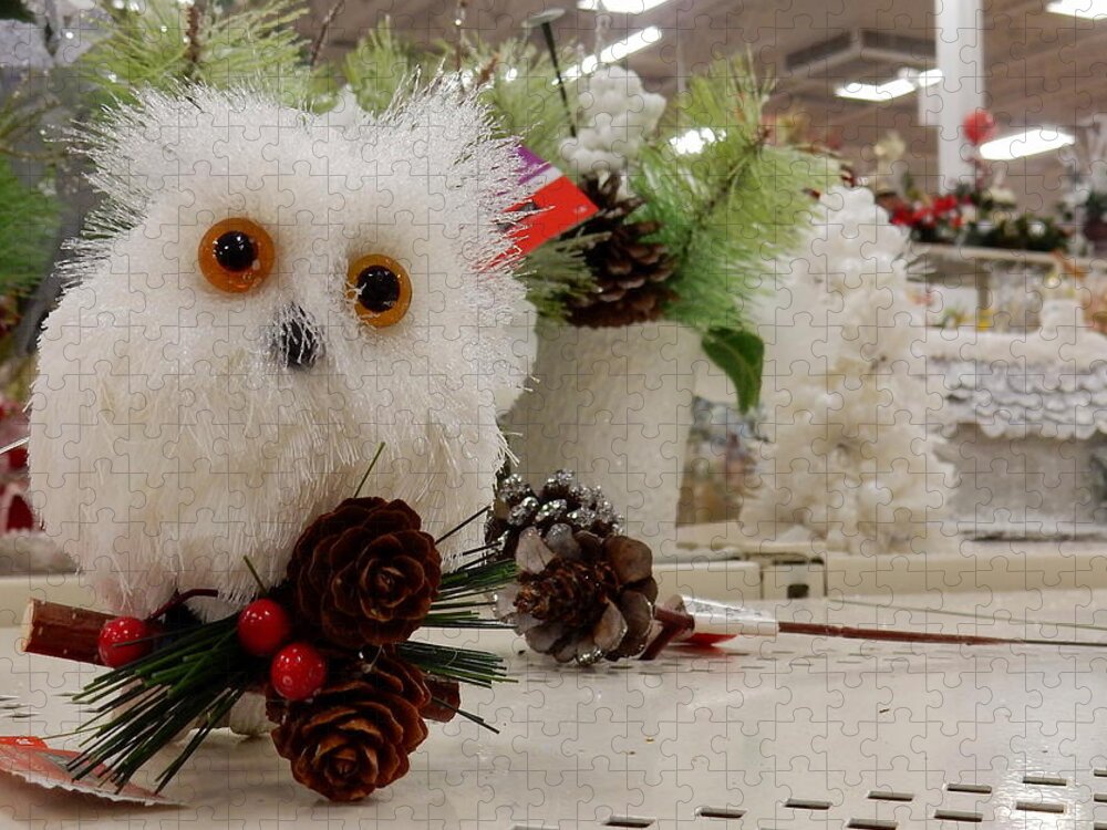 White Owl Jigsaw Puzzle featuring the photograph Owl On The Shelf by Betty-Anne McDonald