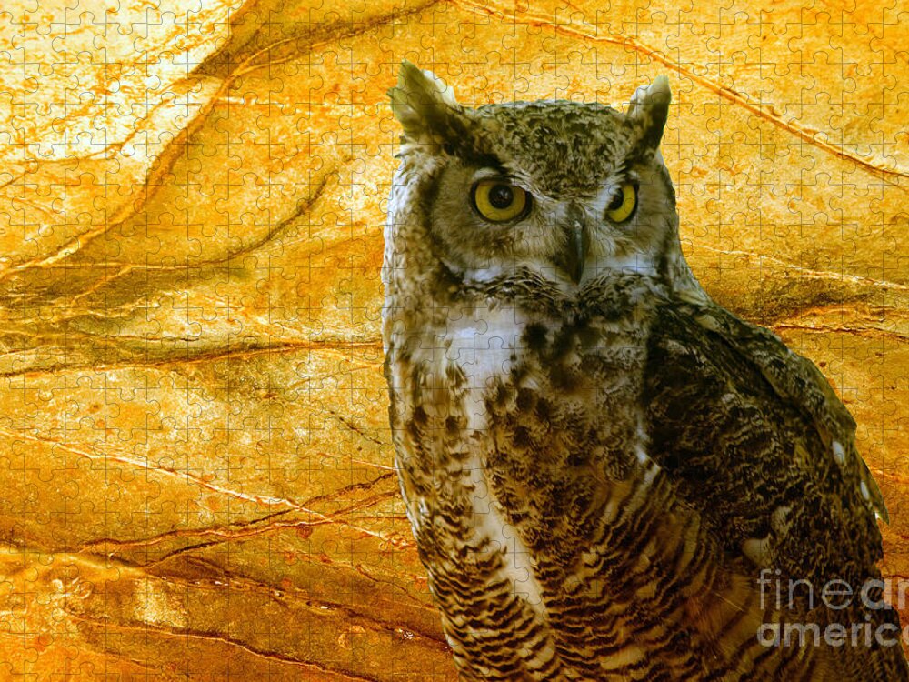 Animal Jigsaw Puzzle featuring the photograph Owl by Teresa Zieba