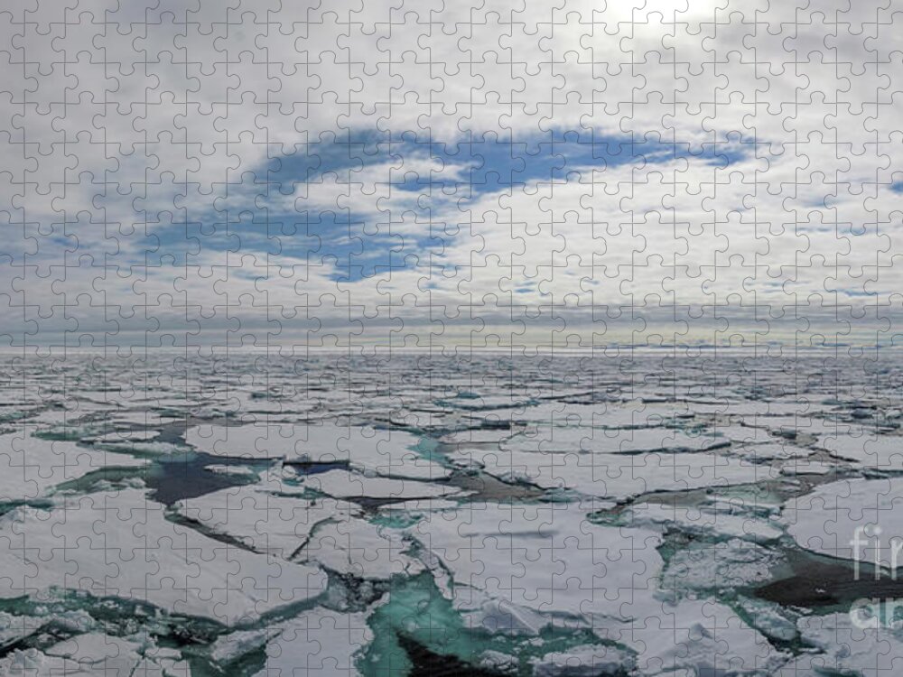 Arctic Jigsaw Puzzle featuring the photograph Pack Ice by Brian Kamprath
