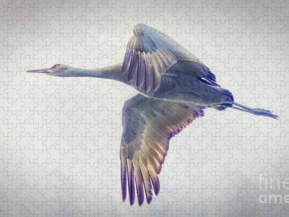 Flying Jigsaw Puzzle featuring the painting Painted Sandhill Crane by Janice Pariza