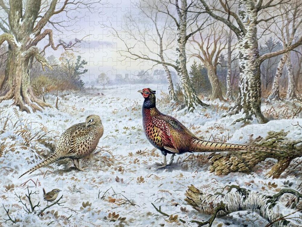 Game Bird; Snow; Woodland; Perdrix; Faisan; Troglodyte; Pheasant; Pheasants; Tree; Trees; Bird; Animals Jigsaw Puzzle featuring the painting Pair of Pheasants with a Wren by Carl Donner