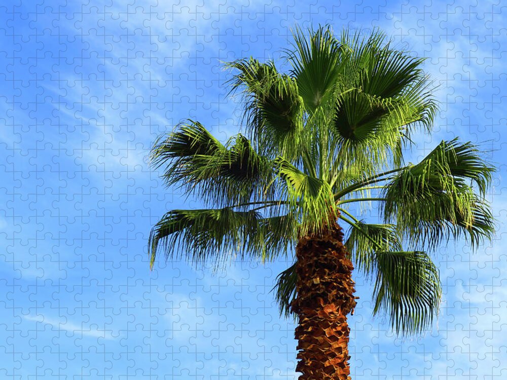 Palm Tree Jigsaw Puzzle featuring the photograph Palm Tree, Blue Sky, Wispy Clouds by Ram Vasudev