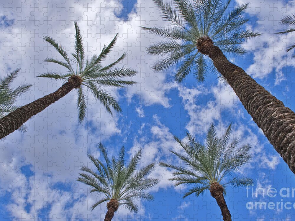 Palm Desert Jigsaw Puzzle featuring the photograph Palm Trees Looking Up 7 by David Zanzinger