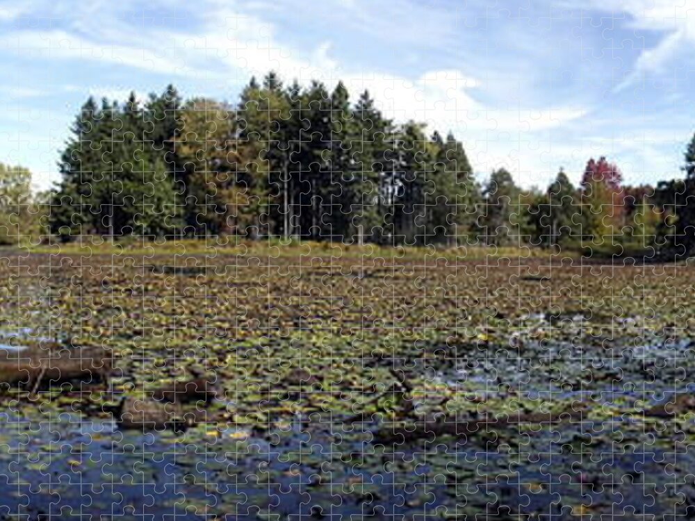 Panorama Jigsaw Puzzle featuring the photograph Panorama Of a Lake At Reinstein Woods Nature Preserve In New York State by Rose Santuci-Sofranko