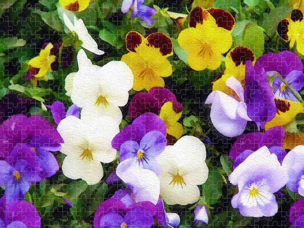 Pansies Jigsaw Puzzle featuring the photograph Pansies by Sandy MacGowan