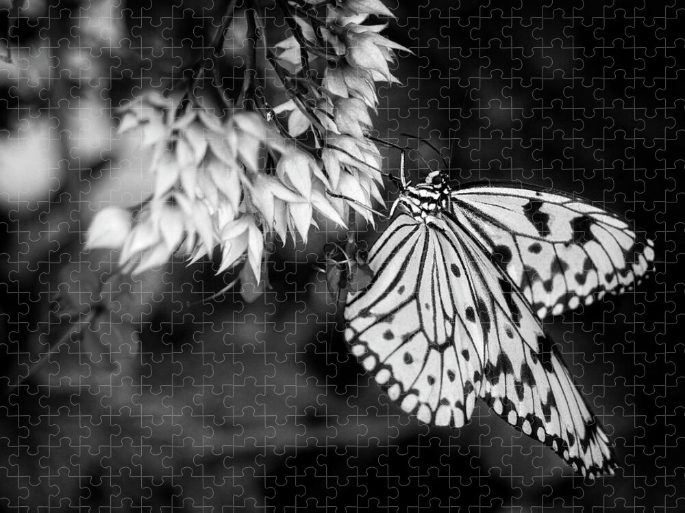 Butterfly Jigsaw Puzzle featuring the photograph Paper Kite In Black and White by Greg and Chrystal Mimbs