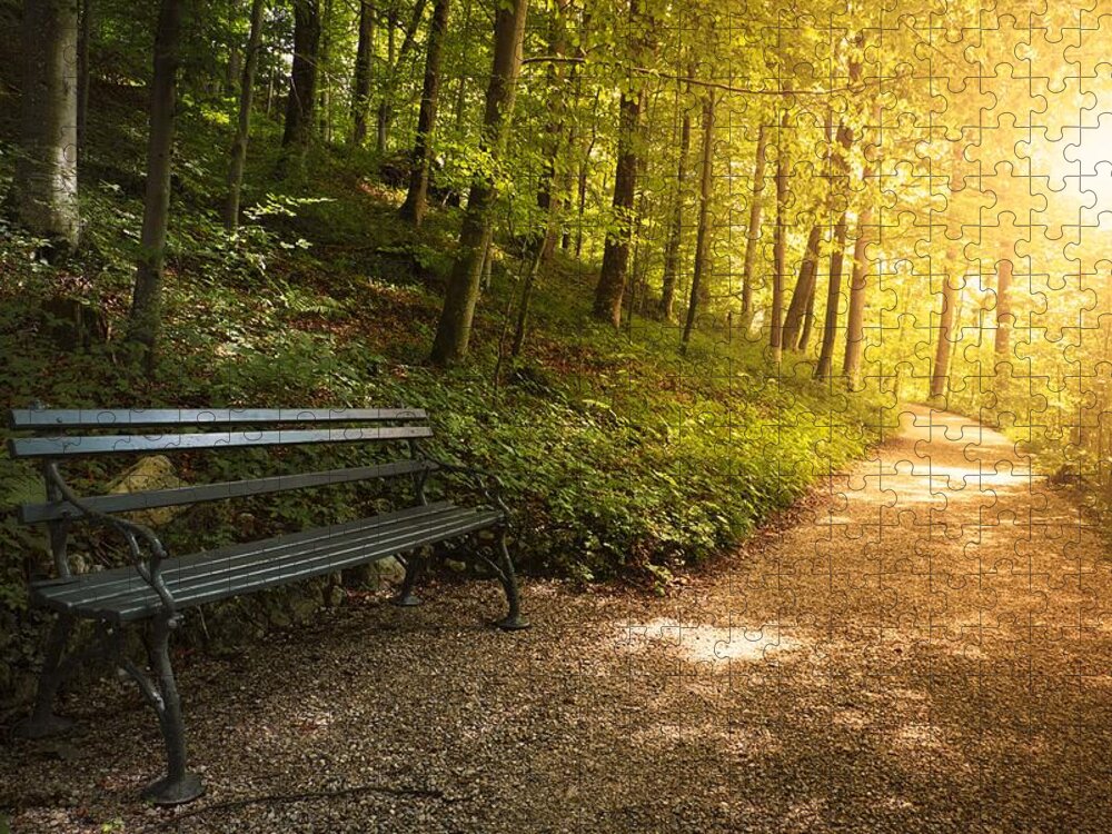 Park Bench Jigsaw Puzzle featuring the photograph Park Bench In Fall by Chevy Fleet