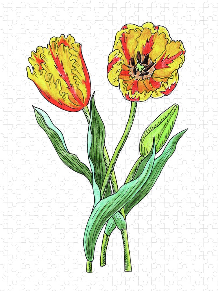 Parrot Tulips Jigsaw Puzzle featuring the painting Parrot Tulips Botanical Watercolor by Irina Sztukowski
