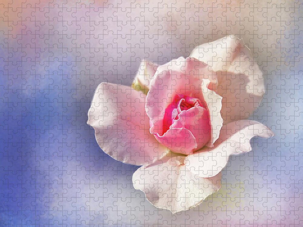 Photography Jigsaw Puzzle featuring the digital art Pastel Rose Delight by Terry Davis