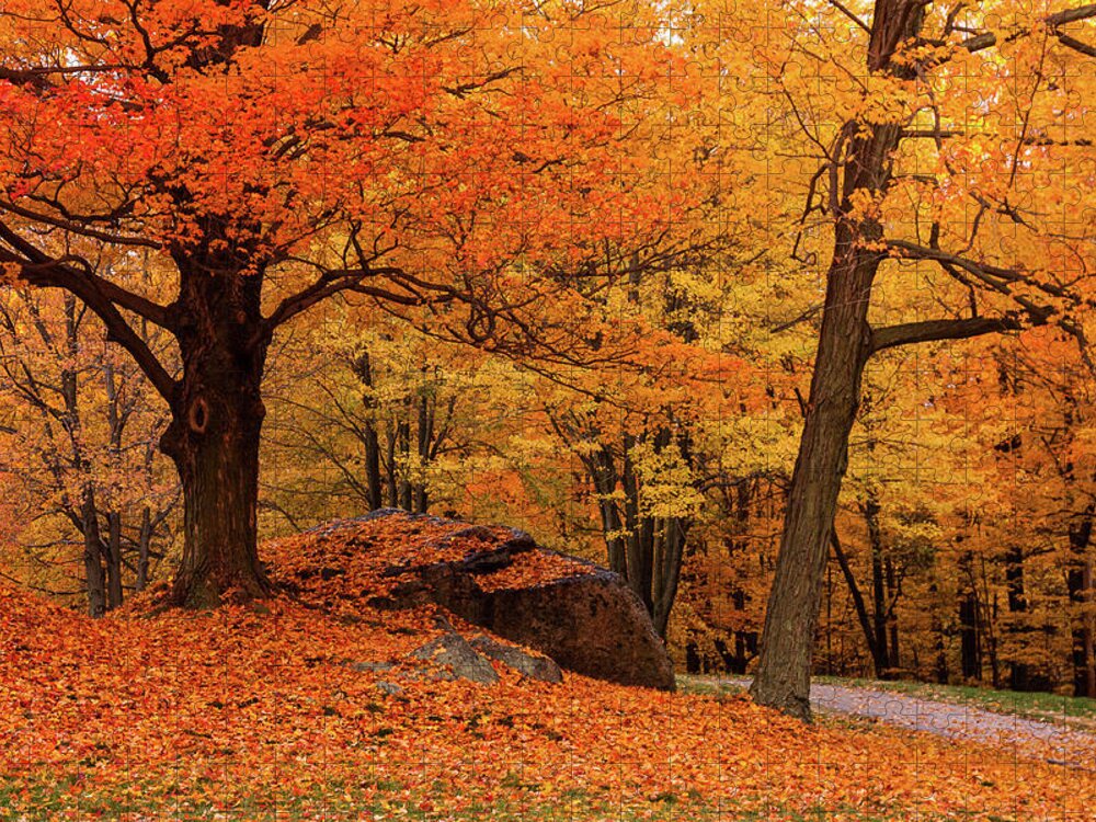 1000 Piece Puzzle - Autumn Leaves – White Mountain Puzzles