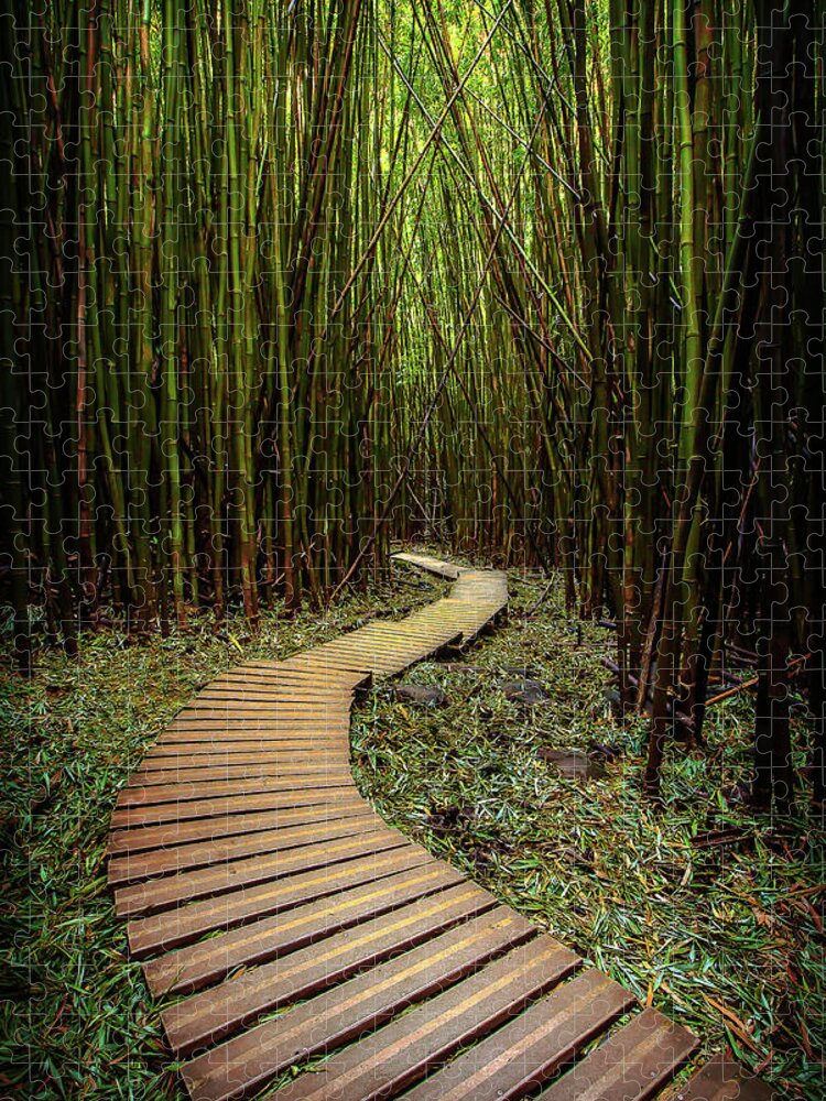 Pathway to Zen Jigsaw Puzzle by Ryan Smith - Pixels