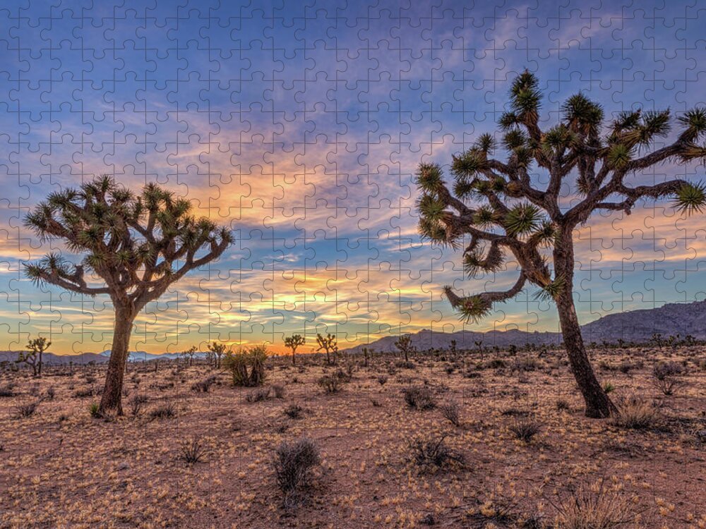 California Jigsaw Puzzle featuring the photograph Peace at Joshua Tree by Peter Tellone