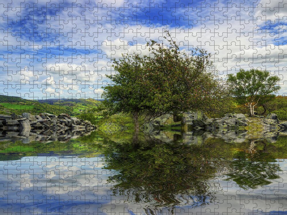 Reflection Jigsaw Puzzle featuring the photograph Peaceful Reflection Of Life by Ian Mitchell