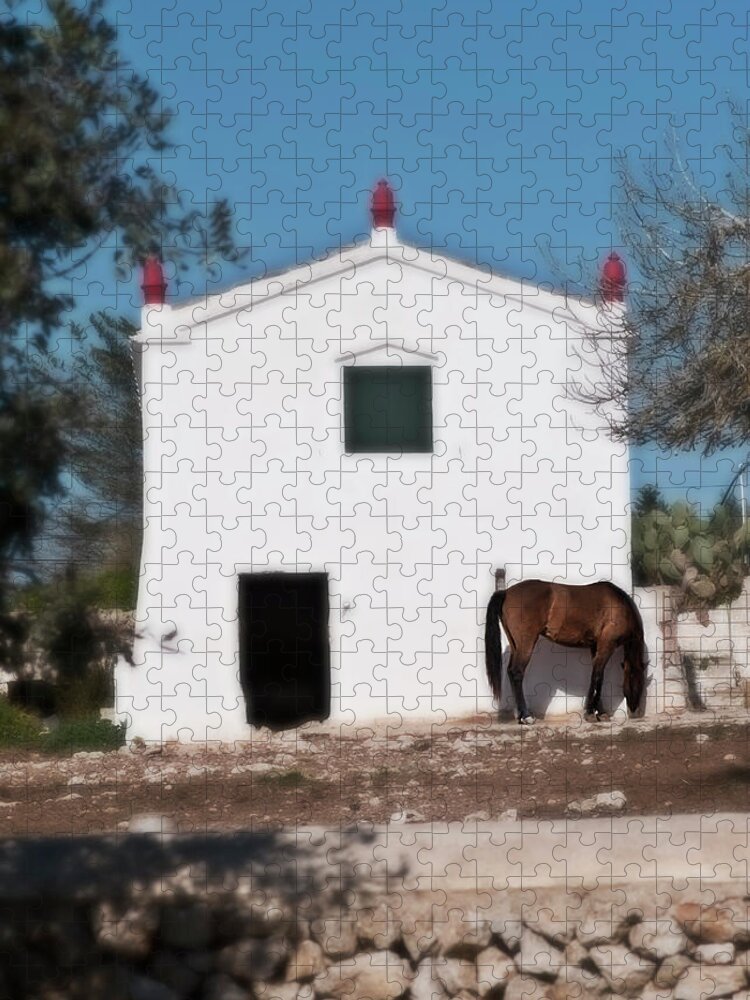  Jigsaw Puzzle featuring the photograph Peacefull country life by Pedro Cardona Llambias