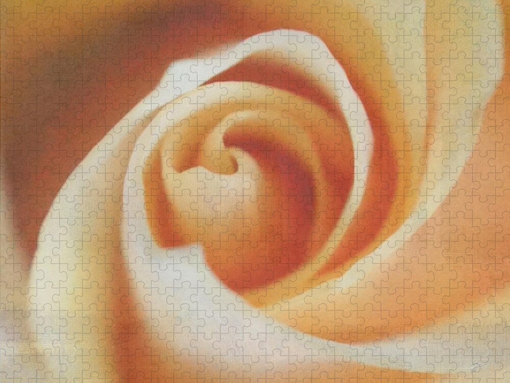 Rose Jigsaw Puzzle featuring the photograph Peach Swirl by TK Goforth