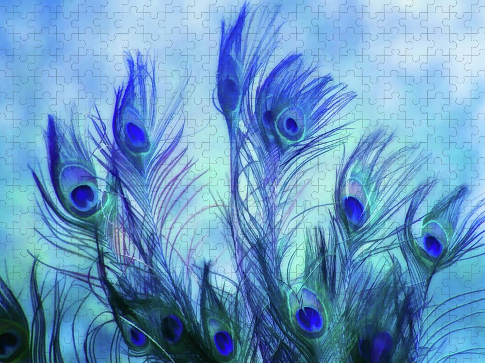 Peacock Jigsaw Puzzle featuring the digital art Peacock Beauty by Terry Davis