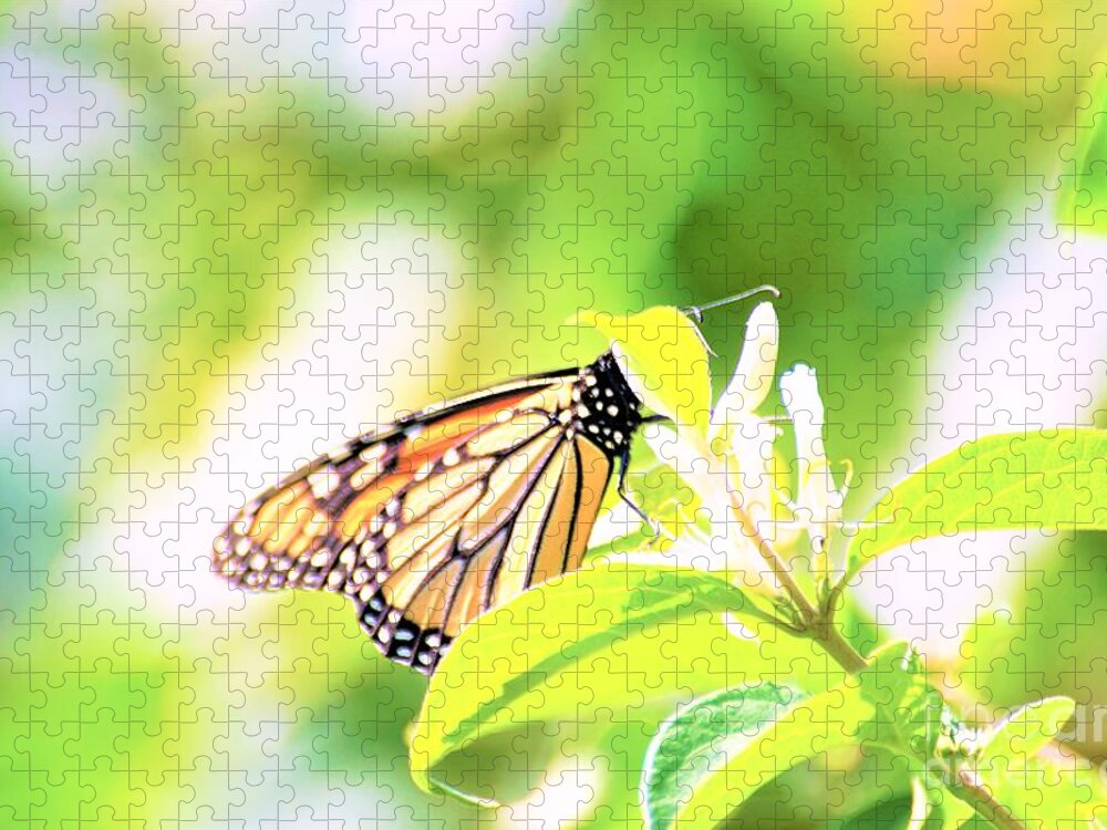 Butterflies Jigsaw Puzzle featuring the photograph Peek-a-Boo by Merle Grenz