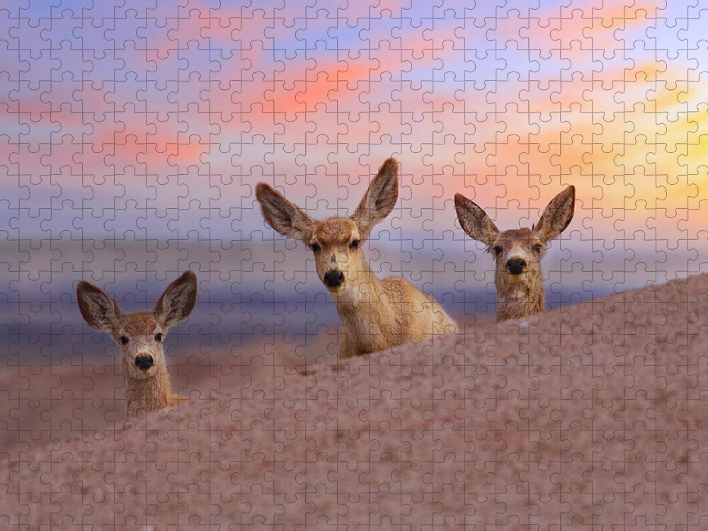 Deer Jigsaw Puzzle featuring the photograph Peered by Kadek Susanto