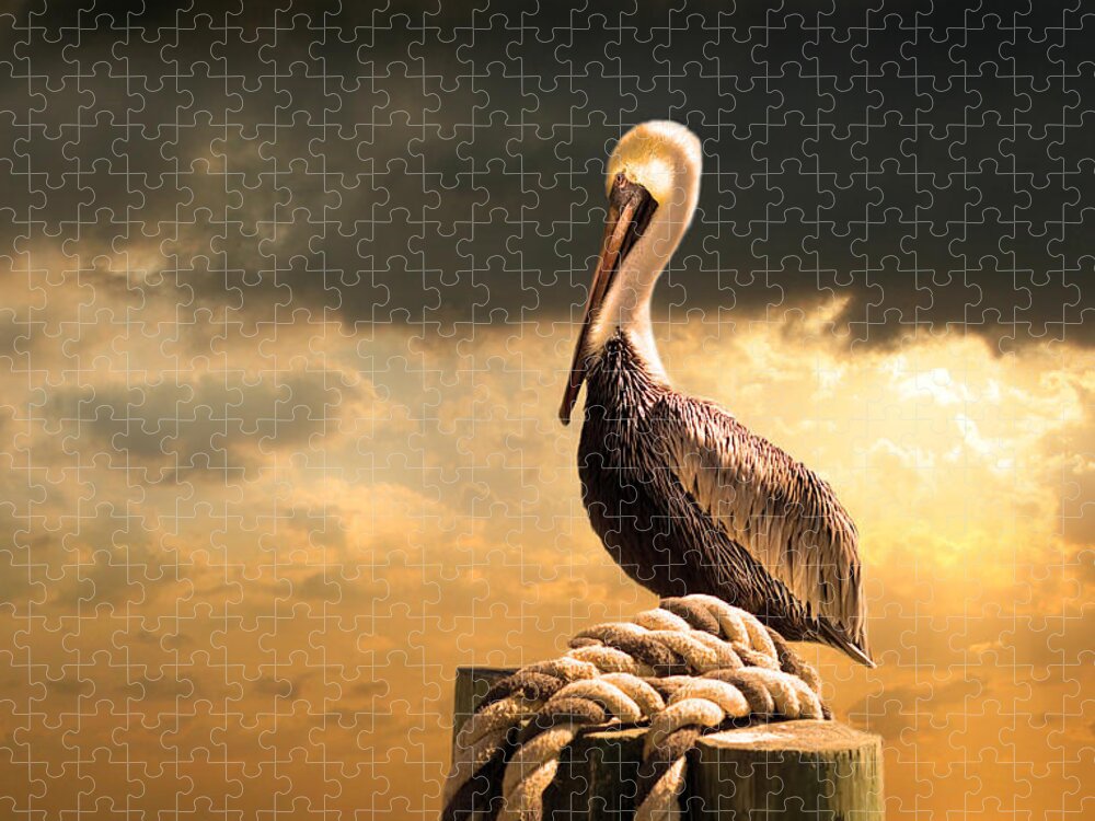 Pelican Jigsaw Puzzle featuring the photograph Pelican after a storm by Mal Bray