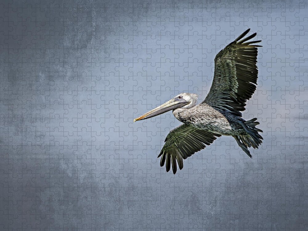 Pelican Jigsaw Puzzle featuring the photograph Pelican Flight by Carolyn Marshall