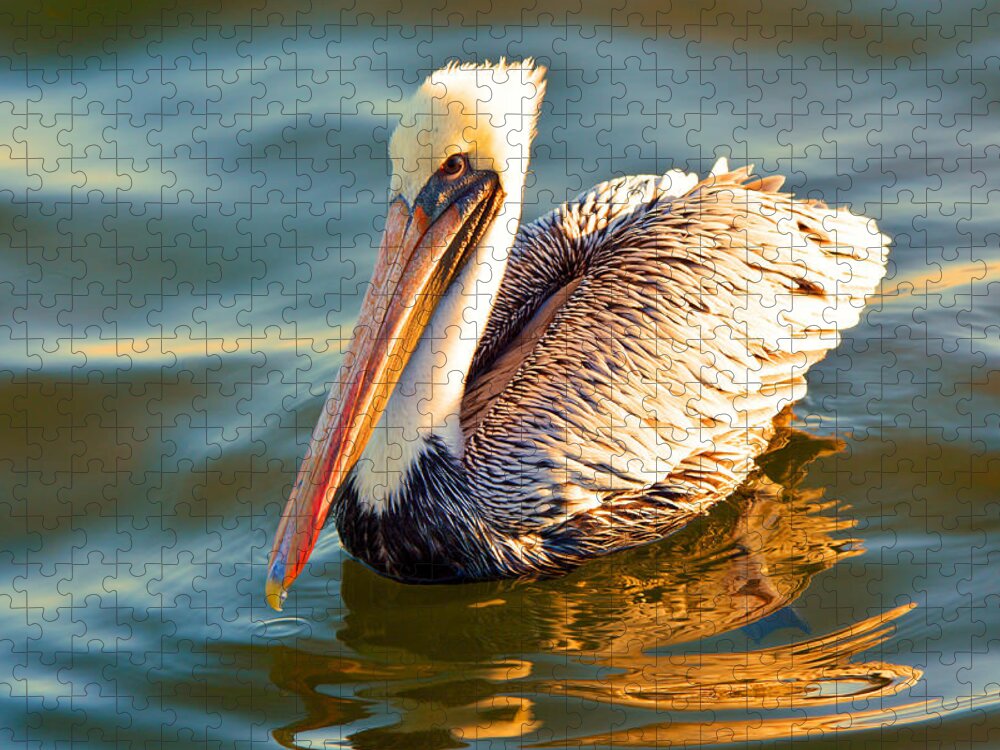 Pelican Profile Jigsaw Puzzle featuring the photograph Pelican Profile by Lisa Wooten