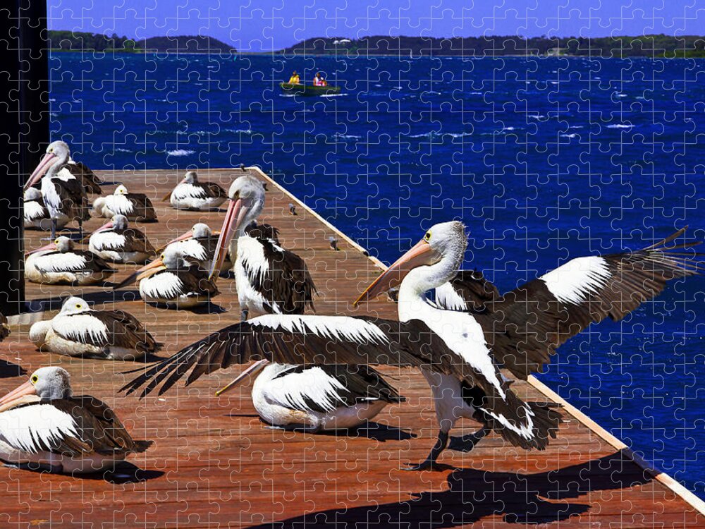 Pelican Jigsaw Puzzle featuring the photograph Pelican's Landing 2 Touchdown by Miroslava Jurcik