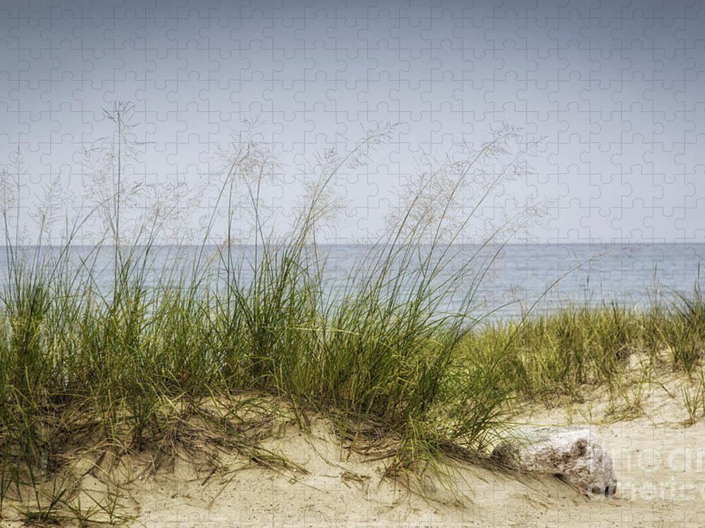  Michigan Jigsaw Puzzle featuring the photograph Petoskey Park Dunes by Timothy Hacker