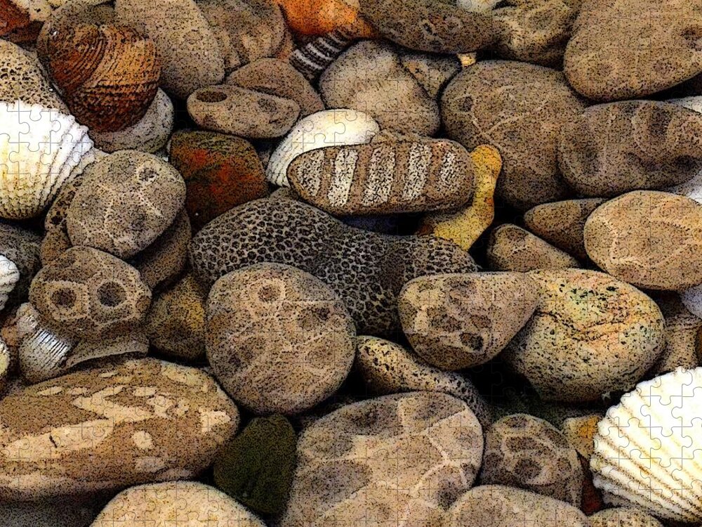 Stone Jigsaw Puzzle featuring the photograph Petoskey Stones with Shells l by Michelle Calkins