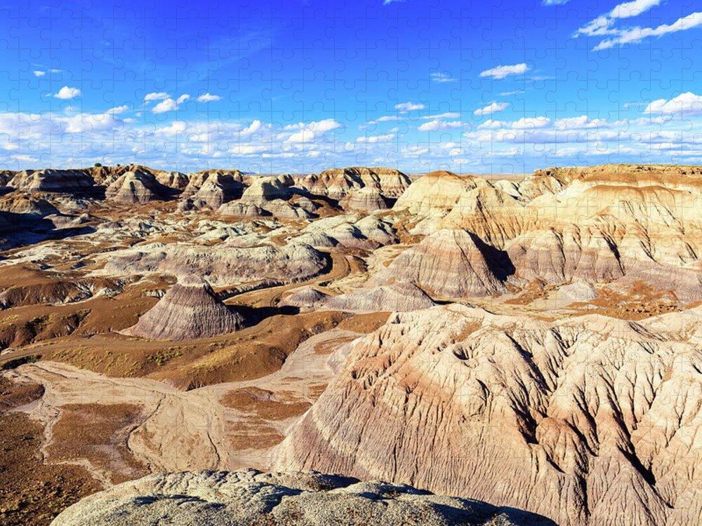 Arizona Jigsaw Puzzle featuring the photograph Petrified Forest IV by Raul Rodriguez