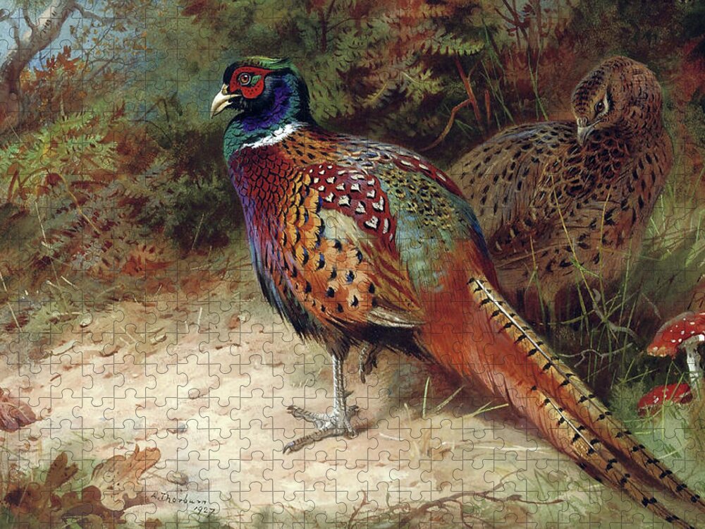 Pheasants Jigsaw Puzzle featuring the mixed media Pheasants in the Woods by Thorburn by Movie Poster Prints