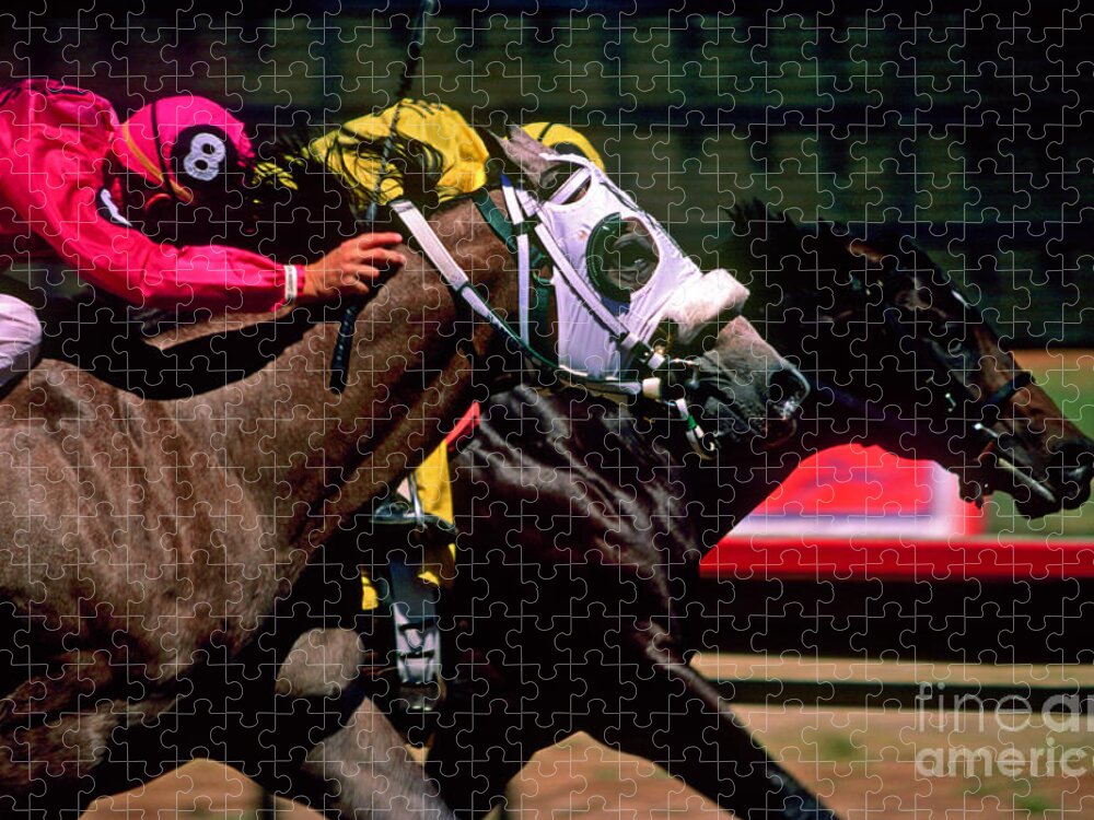 Horse Jigsaw Puzzle featuring the photograph Photo Finish by Kathy McClure