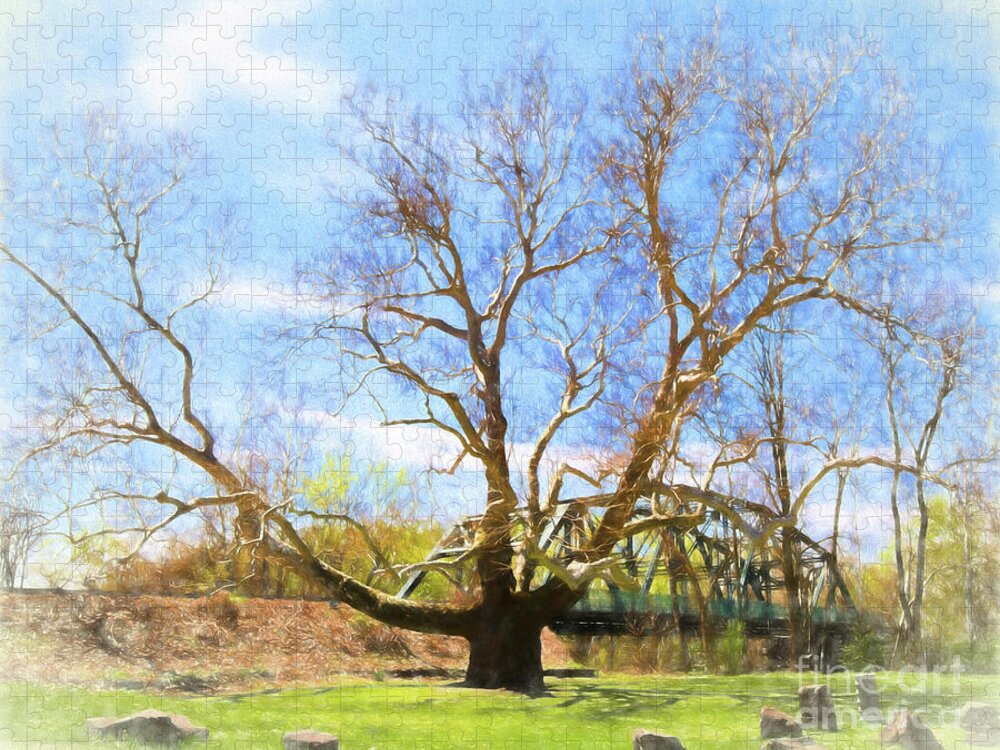 Simsbury Pinchot Painting Landscape Ct Connecticut Sycamore Tree Jigsaw Puzzle featuring the photograph Pinchot Painting by Lorraine Cosgrove