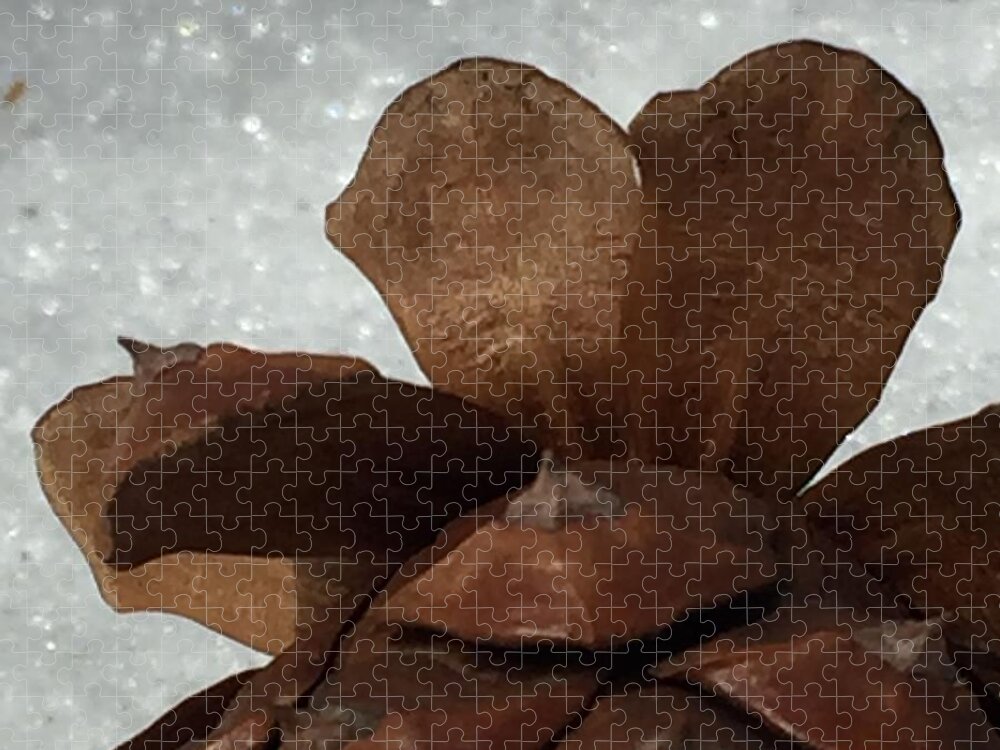 Pine Cone Puzzle featuring the photograph Pine Cone Heart by Vonda Drees
