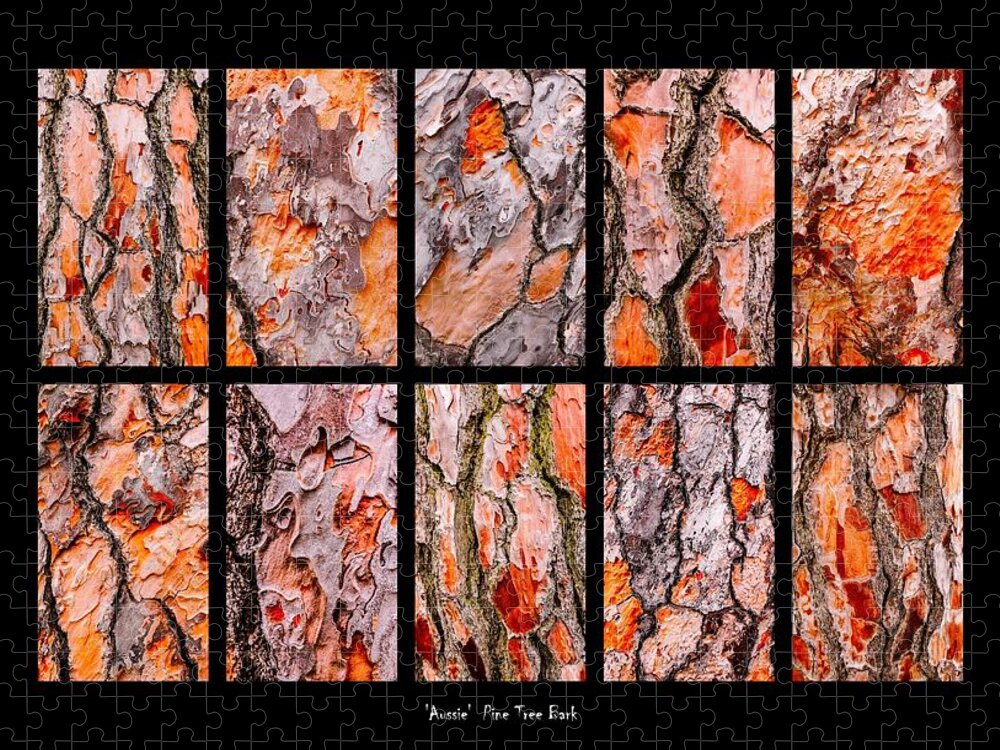 Australian Tree Bark Series By Lexa Harpell Jigsaw Puzzle featuring the photograph Pine Tree Bark Textures by Lexa Harpell