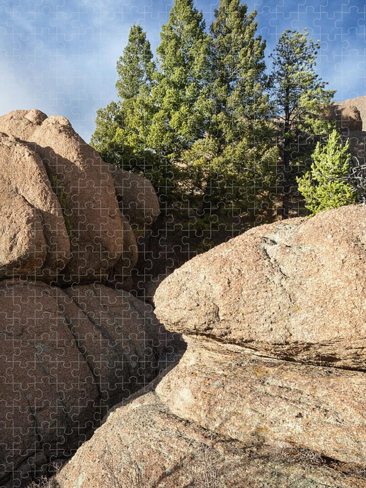 Pine Jigsaw Puzzle featuring the photograph Pines in Granite by Tim Newton