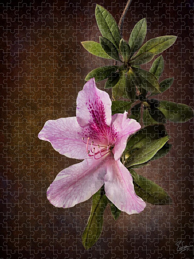 Flower Jigsaw Puzzle featuring the photograph Pink Azalea by Endre Balogh