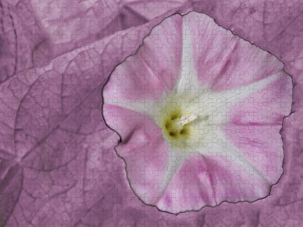 Flower Jigsaw Puzzle featuring the photograph Pink Flower by David Yocum