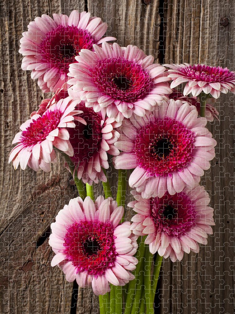 Pink Gerbera Daisies Jigsaw Puzzle featuring the photograph Pink Gerbera daisies by Garry Gay