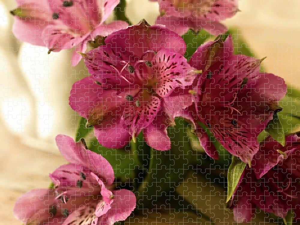 Pink Jigsaw Puzzle featuring the photograph Pink Peruvian Lilies in Repose by Cheryl Day