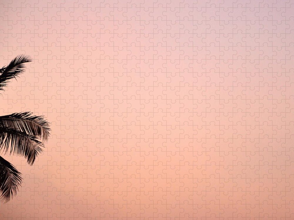 Palm Jigsaw Puzzle featuring the photograph Pink Skies by Corinne Rhode