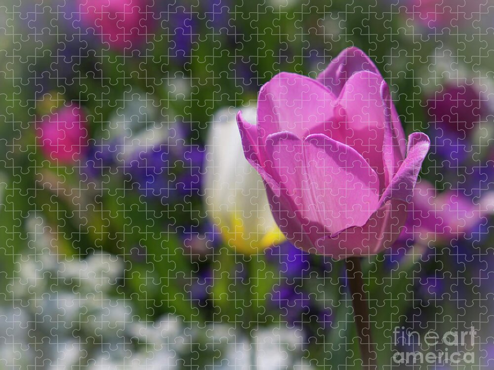 National Arboretum Jigsaw Puzzle featuring the photograph Pink spring by Agnes Caruso