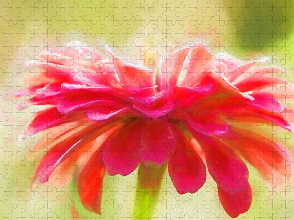 Zinnia Jigsaw Puzzle featuring the photograph Pink Zinnia by Cindi Ressler