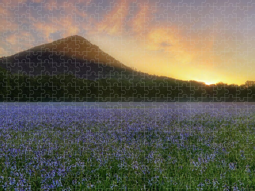 Pinnacle Mountain Jigsaw Puzzle featuring the photograph Pinnacle Mountain Sunrise - Arkansas - State Park by Jason Politte