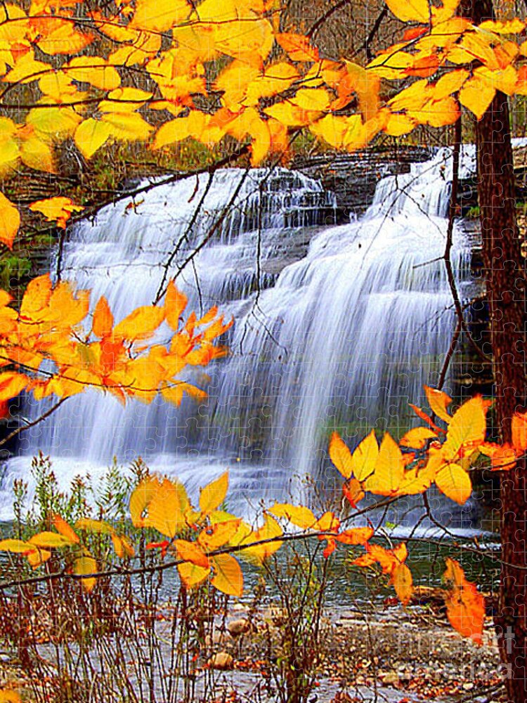 Berry Jigsaw Puzzle featuring the photograph Pixley Falls by Diane E Berry