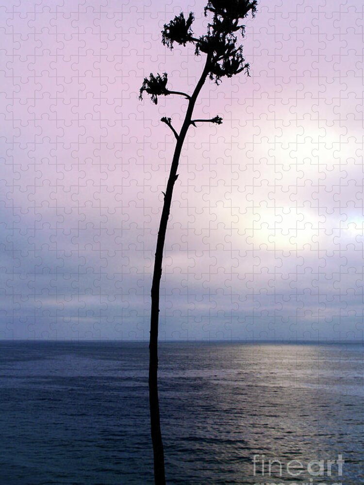 Ocean Jigsaw Puzzle featuring the photograph Plant Silhouette over Ocean by Mariola Bitner