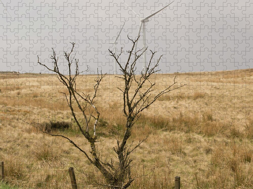 Windmill Jigsaw Puzzle featuring the photograph Planted. by Elena Perelman