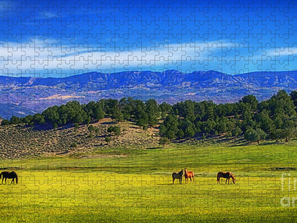 Pleasant Valley Equines Jigsaw Puzzle featuring the photograph Pleasant Valley Equines by Priscilla Burgers