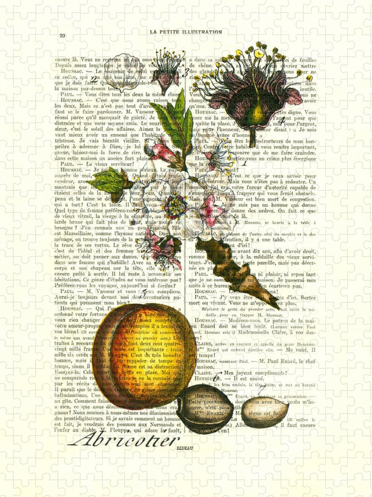 Apricot Prints Jigsaw Puzzle featuring the digital art Apricot tree, fruit and blossom plant antique illustration by Madame Memento